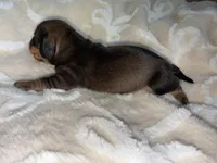 processed/789631d5-5490-43a1-ad58-500b7c9ca399/listing/c412b366-5f46-43be-ac7a-9e549cfa271f/aa14a700-b918-4977-ac00-a444c40e3d42