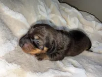 processed/789631d5-5490-43a1-ad58-500b7c9ca399/listing/c412b366-5f46-43be-ac7a-9e549cfa271f/ad2c4998-df0d-43d0-bc84-a177cbc9c1a9