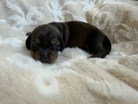 processed/789631d5-5490-43a1-ad58-500b7c9ca399/listing/c412b366-5f46-43be-ac7a-9e549cfa271f/c5514029-3920-4bc9-9694-58ebf27572f3