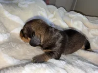 processed/789631d5-5490-43a1-ad58-500b7c9ca399/listing/c412b366-5f46-43be-ac7a-9e549cfa271f/cb19ac8b-f09b-4b78-84be-c03767852f12