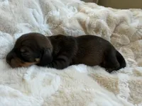 processed/789631d5-5490-43a1-ad58-500b7c9ca399/listing/c412b366-5f46-43be-ac7a-9e549cfa271f/e4a21335-ffa2-493e-a0a2-db25272c8592