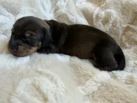 processed/789631d5-5490-43a1-ad58-500b7c9ca399/listing/c412b366-5f46-43be-ac7a-9e549cfa271f/f793e839-9aa9-44e9-ae90-932d09ef04f6