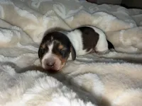 processed/789631d5-5490-43a1-ad58-500b7c9ca399/listing/cb57791e-5fea-4392-b2a1-f8215ac73f9b/194ed2c7-eba7-4431-a6d0-3da80c8416f8