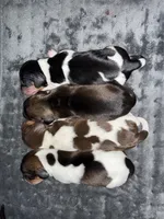 processed/789631d5-5490-43a1-ad58-500b7c9ca399/listing/cb57791e-5fea-4392-b2a1-f8215ac73f9b/1afe9073-8e7c-4540-8adf-82dc9535bd0e