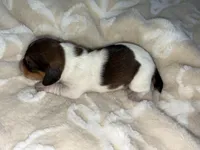 processed/789631d5-5490-43a1-ad58-500b7c9ca399/listing/cb57791e-5fea-4392-b2a1-f8215ac73f9b/3fc74fd7-5838-4d50-bfcc-794e32aa0e2f