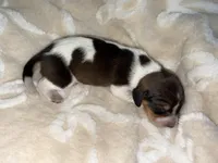 processed/789631d5-5490-43a1-ad58-500b7c9ca399/listing/cb57791e-5fea-4392-b2a1-f8215ac73f9b/57298df0-eff2-4d4b-9b98-6bf6a6edd663