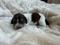 processed/789631d5-5490-43a1-ad58-500b7c9ca399/listing/cb57791e-5fea-4392-b2a1-f8215ac73f9b/a67cd86b-d979-4445-971d-d1af32903b0b