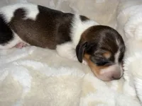 processed/789631d5-5490-43a1-ad58-500b7c9ca399/listing/cb57791e-5fea-4392-b2a1-f8215ac73f9b/b26c185c-4134-42cb-a0a1-08a1c7cb77f9