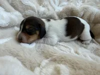 processed/789631d5-5490-43a1-ad58-500b7c9ca399/listing/cb57791e-5fea-4392-b2a1-f8215ac73f9b/ee8b150e-5a6d-4c58-98a2-edd01adbf2f4