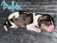 processed/789631d5-5490-43a1-ad58-500b7c9ca399/listing/cb57791e-5fea-4392-b2a1-f8215ac73f9b/ef7462de-3fa7-46e1-9b74-8f828bc6b94e