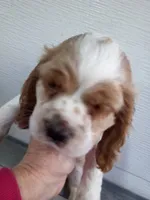 processed/7897bff7-5fb4-4063-8026-8c589a9a8626/listing/fc64c316-489d-4100-b4ab-65b905626b8f/105e9476-6dbb-466d-961e-83cec882a5c8