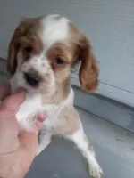 processed/7897bff7-5fb4-4063-8026-8c589a9a8626/listing/fc64c316-489d-4100-b4ab-65b905626b8f/33bcc713-81b7-456d-8b44-82807e2a1598