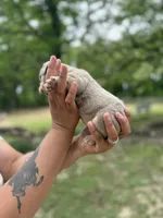 Aspen, a female English Bulldog for sale in Alba, TX – Photo 3 of 3