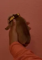 Biscuit, a male English Bulldog for sale in Alba, TX – Photo 2 of 3