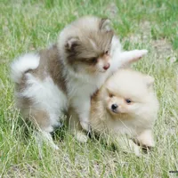 processed/789cb072-84a6-4dbc-9c1c-8a097fa29f96/facility/4054ba8b-b4ca-48c7-8f36-10c8222dbc13