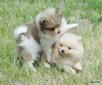 processed/789cb072-84a6-4dbc-9c1c-8a097fa29f96/facility/4054ba8b-b4ca-48c7-8f36-10c8222dbc13