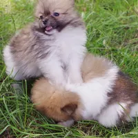 processed/789cb072-84a6-4dbc-9c1c-8a097fa29f96/facility/620e09a1-2d83-42ab-81b3-a5091482646e