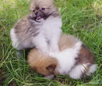 processed/789cb072-84a6-4dbc-9c1c-8a097fa29f96/facility/620e09a1-2d83-42ab-81b3-a5091482646e