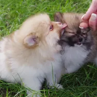 processed/789cb072-84a6-4dbc-9c1c-8a097fa29f96/facility/7a390332-6a17-4b79-8395-3541d2cb31ed