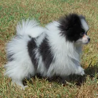 processed/789cb072-84a6-4dbc-9c1c-8a097fa29f96/facility/88b506ec-7d8a-484b-b328-c7be020ef649