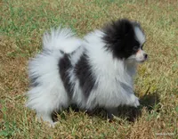 processed/789cb072-84a6-4dbc-9c1c-8a097fa29f96/facility/88b506ec-7d8a-484b-b328-c7be020ef649