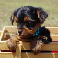 processed/789cb072-84a6-4dbc-9c1c-8a097fa29f96/facility/a24309ec-f769-421d-9d2e-5b54c9780b7c