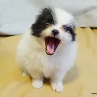 processed/789cb072-84a6-4dbc-9c1c-8a097fa29f96/facility/bd8943a8-fe9d-4dda-8b70-c381a155b808