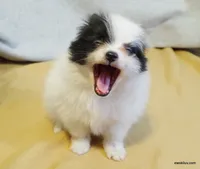 processed/789cb072-84a6-4dbc-9c1c-8a097fa29f96/facility/bd8943a8-fe9d-4dda-8b70-c381a155b808