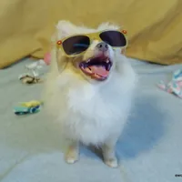 processed/789cb072-84a6-4dbc-9c1c-8a097fa29f96/facility/ca741fcb-f3a4-428e-ae3b-944d1496b677