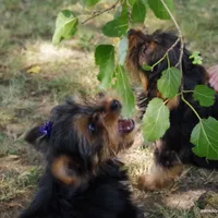 processed/789cb072-84a6-4dbc-9c1c-8a097fa29f96/facility/ceedde7e-883f-4a5e-9a4c-59be2844c62e