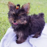 processed/789cb072-84a6-4dbc-9c1c-8a097fa29f96/facility/d1eb9567-0547-4301-85b5-e6f69704bc9c