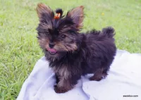 processed/789cb072-84a6-4dbc-9c1c-8a097fa29f96/facility/d1eb9567-0547-4301-85b5-e6f69704bc9c