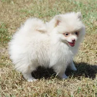 processed/789cb072-84a6-4dbc-9c1c-8a097fa29f96/facility/eac42bd1-5801-432e-9c70-9910332d5ce0