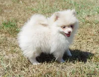 processed/789cb072-84a6-4dbc-9c1c-8a097fa29f96/facility/eac42bd1-5801-432e-9c70-9910332d5ce0