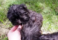 processed/789cb072-84a6-4dbc-9c1c-8a097fa29f96/listing/2aff0326-38f5-45b7-99d3-5e495392e244/1ba25fce-7d3b-4833-92ae-bff16cca920f