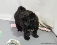 processed/789cb072-84a6-4dbc-9c1c-8a097fa29f96/listing/2aff0326-38f5-45b7-99d3-5e495392e244/1d9e549b-8aed-47b1-baf3-4ba481bfc0be