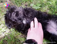 processed/789cb072-84a6-4dbc-9c1c-8a097fa29f96/listing/2aff0326-38f5-45b7-99d3-5e495392e244/2c907b9c-08d9-4b87-b11d-1946a061c61d