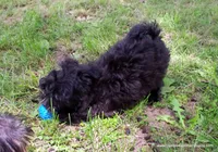 processed/789cb072-84a6-4dbc-9c1c-8a097fa29f96/listing/2aff0326-38f5-45b7-99d3-5e495392e244/3400f1e1-4947-4185-889d-01bf2228f0d7