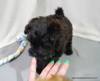 processed/789cb072-84a6-4dbc-9c1c-8a097fa29f96/listing/2aff0326-38f5-45b7-99d3-5e495392e244/87a54e63-0d5e-4b11-8604-8c87ec599c80