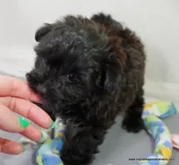 processed/789cb072-84a6-4dbc-9c1c-8a097fa29f96/listing/2aff0326-38f5-45b7-99d3-5e495392e244/f8a438f4-af8d-4775-95f9-a10746b17278