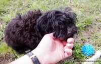 processed/789cb072-84a6-4dbc-9c1c-8a097fa29f96/listing/2aff0326-38f5-45b7-99d3-5e495392e244/fbd6dd6b-fac0-415f-9f21-2a14cb50b1c5