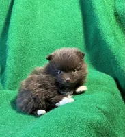 processed/789cb072-84a6-4dbc-9c1c-8a097fa29f96/listing/5a089c19-a20c-46b8-8dad-68f35cd4da80/1052ec2d-39d6-412a-a917-f53cbbc34849