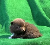 processed/789cb072-84a6-4dbc-9c1c-8a097fa29f96/listing/5a089c19-a20c-46b8-8dad-68f35cd4da80/42574fa8-09c0-4a51-8506-90688b6f3e96