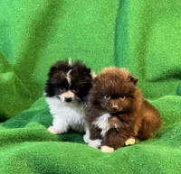 processed/789cb072-84a6-4dbc-9c1c-8a097fa29f96/listing/5a089c19-a20c-46b8-8dad-68f35cd4da80/78ef27fc-cb97-4787-8bfa-f0139c721962