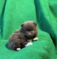 processed/789cb072-84a6-4dbc-9c1c-8a097fa29f96/listing/5a089c19-a20c-46b8-8dad-68f35cd4da80/ce5c675a-0e55-4f2c-a4e4-d8115e9d14eb