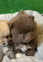 processed/789cb072-84a6-4dbc-9c1c-8a097fa29f96/listing/5a089c19-a20c-46b8-8dad-68f35cd4da80/f5e700f7-981b-4c45-9f56-74fc5e3a1adb