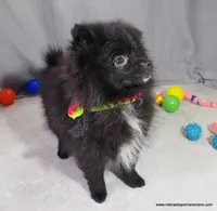 processed/789cb072-84a6-4dbc-9c1c-8a097fa29f96/listing/ac1ef00e-04e5-4627-88c7-f21be3cfe896/0b18ba7e-c1d1-4a59-9166-47bf90bbc54b