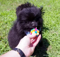 processed/789cb072-84a6-4dbc-9c1c-8a097fa29f96/listing/ac1ef00e-04e5-4627-88c7-f21be3cfe896/421a38c6-df37-410e-a07d-0b2c0b0b408b