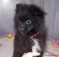 processed/789cb072-84a6-4dbc-9c1c-8a097fa29f96/listing/ac1ef00e-04e5-4627-88c7-f21be3cfe896/78a0af8b-fa6f-48f6-ae70-32ea59f6a547