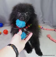 processed/789cb072-84a6-4dbc-9c1c-8a097fa29f96/listing/ac1ef00e-04e5-4627-88c7-f21be3cfe896/7cc79f1f-80db-4c25-be29-2f239ce32acc